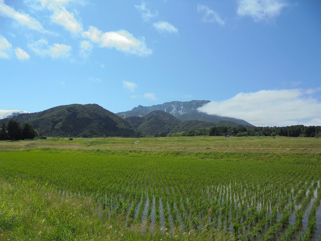 種原地区から見た大山の眺望