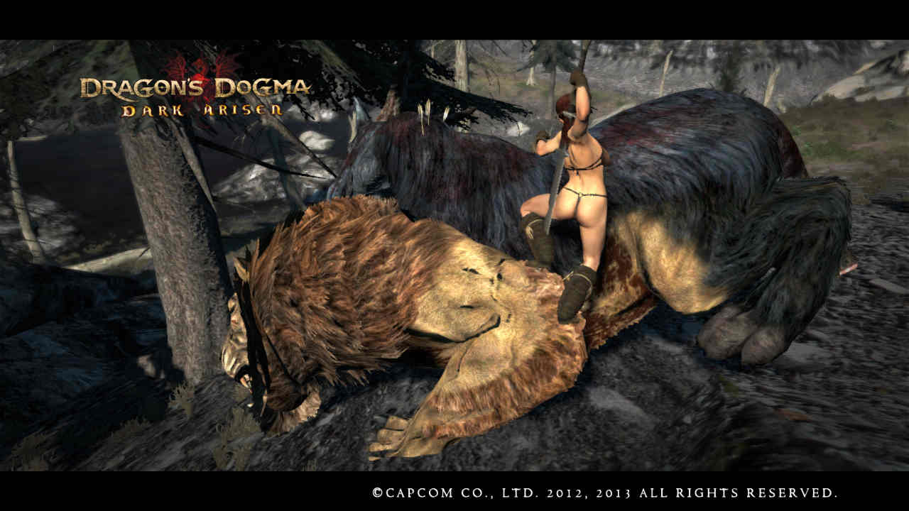 Dragons Dogma Dark Arisen Pc Game Free Download Computer