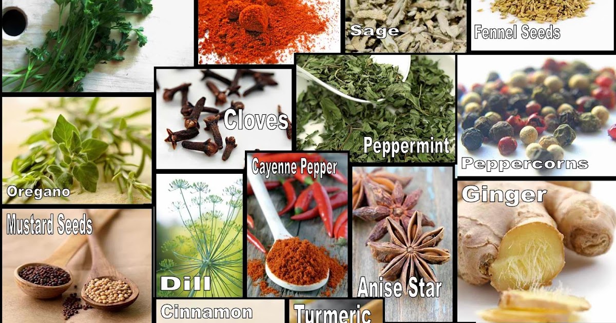 Culinary Physics: List of Common Herbs and Spices and ... on {keyword}