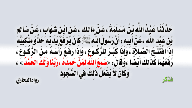 باب – رفع – اليدين – في – التكبيرة – الأولى – مع – الافتتاح - سواء