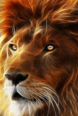 3D Lion Wallpaper 2