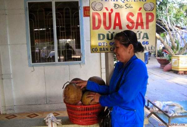 dừa sáp trà vinh