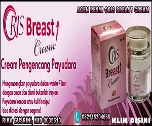  http://www.solusipasutri.org/2013/12/oris-breast-cream.html