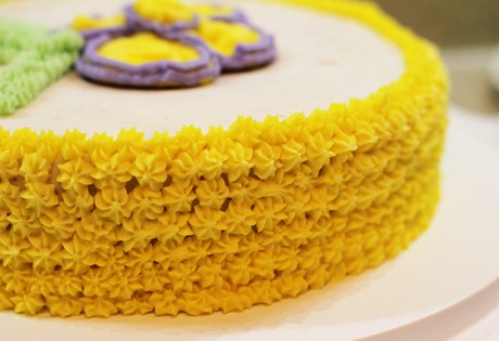 20110613 cake decorating (12) edit