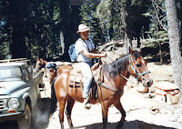 Me riding "Lightning" during one of my dream job moments collecting field data in the Marble Mountain Wilderness in Northern California. Note: Lightning was very well behaved and did not live up to his name except for when he got stung by yellow jackets on his belly - August 22, 1988