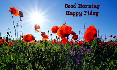 GOOD MORNING HAPPY FRIDAY HD PICTURES  