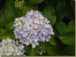 DSCF0058