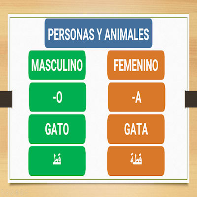 المذكر والمؤنث في أسماء الحيوانات في اللغة الإسبانية