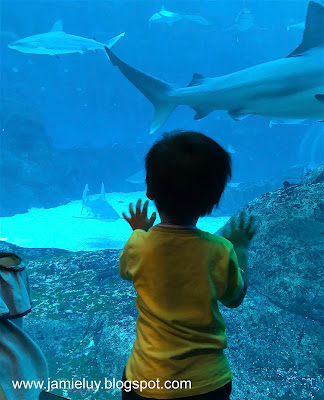 S.E.A. Aquarium Resorts World Sentosa Singapore