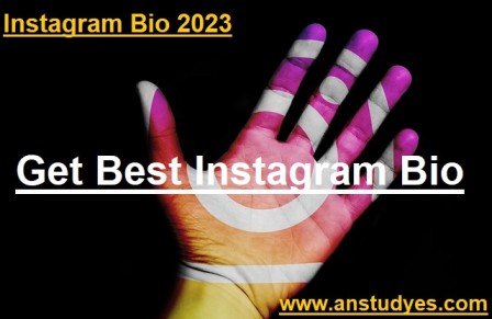 Top Instagram Bios for Boys | Insta Bio |  Best Bio for Instagram