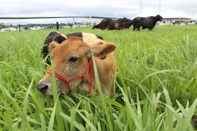 9ª Rondônia Rural Show é suspensa por causa do coronavírus