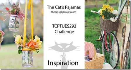TCPTUES293