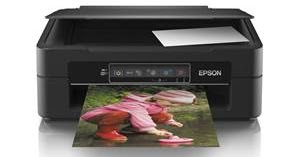 Epson Xp-245 Driver / Epson XP 245 driver Download for Windows 7, 8 & 10 ...