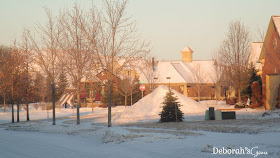 Spring Snow 3 - photo by Deborah Frings - Deborah's Gems