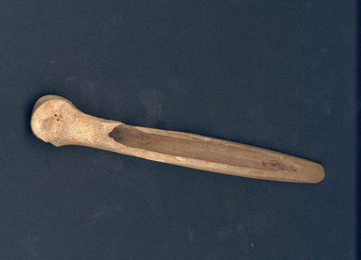 Ancient Polunesia Chicken Bone