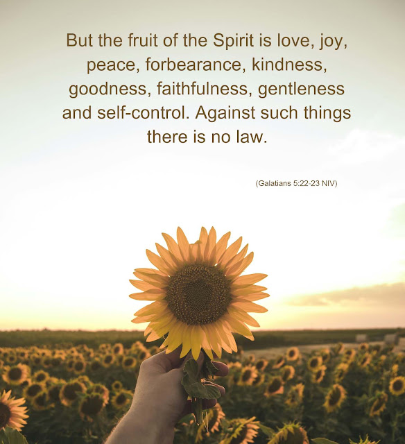 Galatians 5:22-23: fruits of the Spirit with bible verse about diet