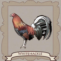 Whitehackle