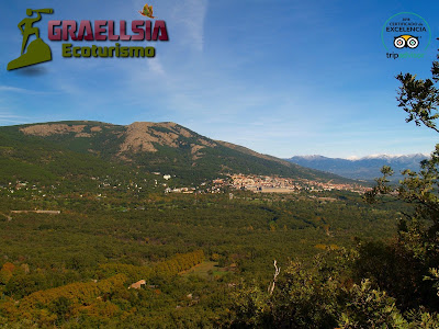 Bosque de la Herrería