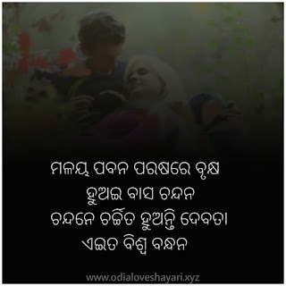 Odia Shayari 2021- Best 15+ Odia Love Shayari Collection 2021 Download