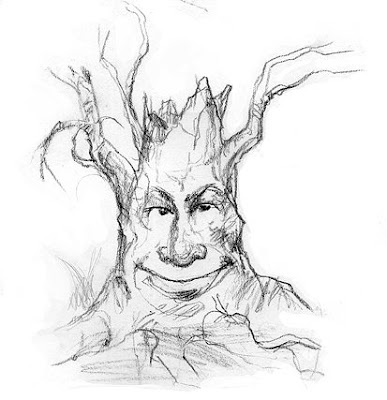 How To Sketch A Tree. of tree face sketches that