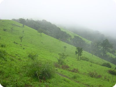 Kodachadri Hill Station