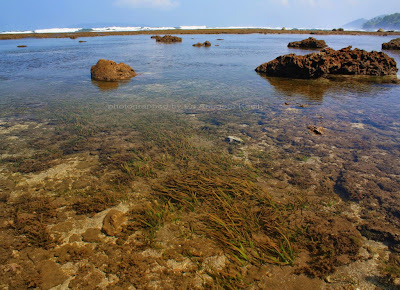 Pantai Karapyak ketika sedang surut.