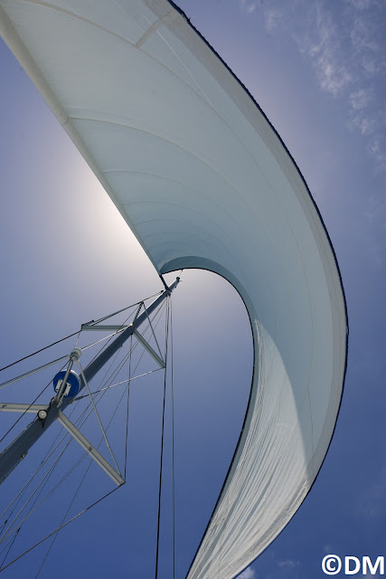 Photo du génois gonflé par le vent catamaran 