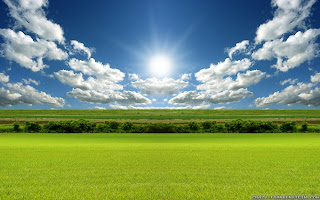 Free Download New Windows Spring Field Wallpapers