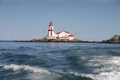 IMG_7173 IMG_7173