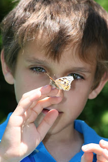 William and the Painted Lady butterfly :: All Pretty Things