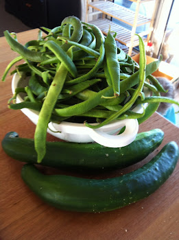 Heaps of beans and a couple of fantastic cucumbers