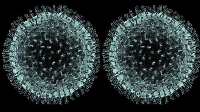Dibanding Virus MERS dan SARS, Seberapa Mematikan Virus Corona?