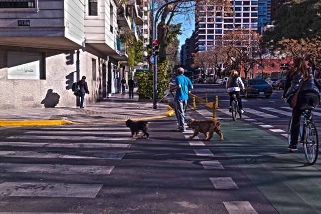 Paseando dos perros y cruzando Ada.Cnel.Diaz