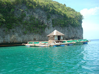 small cottage in the middle of the sea