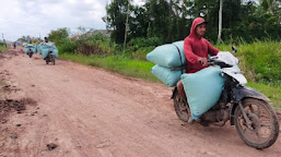 Kabupaten Mesuji menerima anggaran Rp77 milyar untuk perbaikan jalan