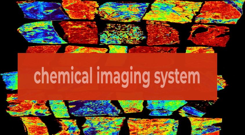 chemical imaging system, chemical imaging