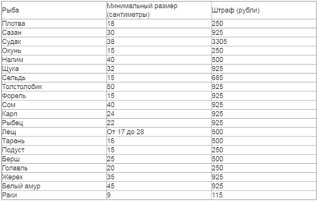 Размер рыбы разрешенной к вылову