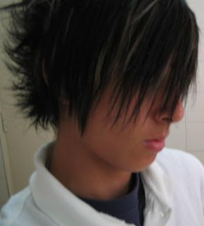 Scene Emo Hairstyle for Boys