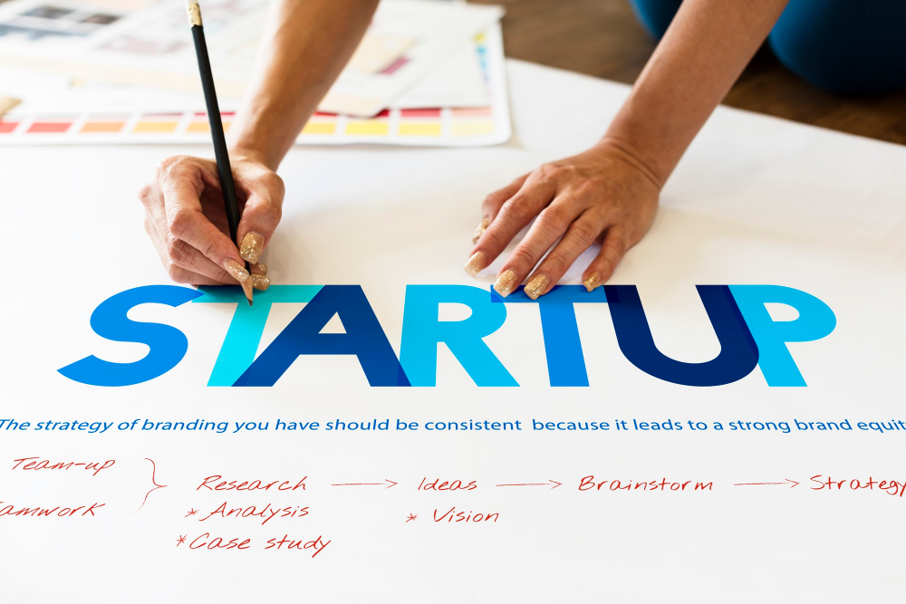 Startups and Scaleups: Successful Entrepreneurship