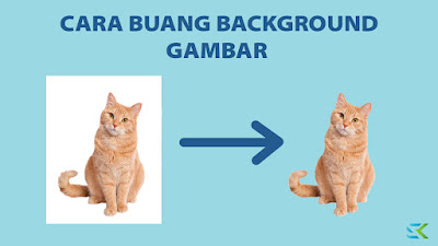 Cara Remove Background Gambar Dengan Mudah Tak Perlu Aplikasi Berbayar