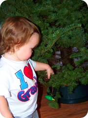 trimming the tree