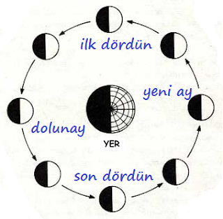 GÜNEŞ, DÜNYA, AY 5. Sınıf Fen Bilimleri Konu Anlatımı