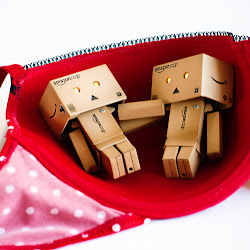 Foto Danbo @ digaleri.com