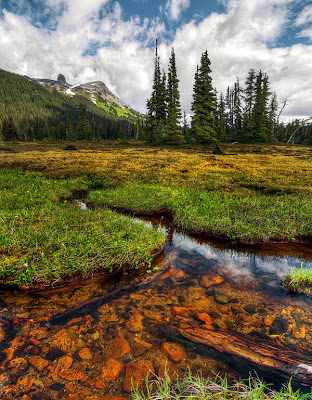 fotografías gratis de paisajes naturales - Disfrútalos