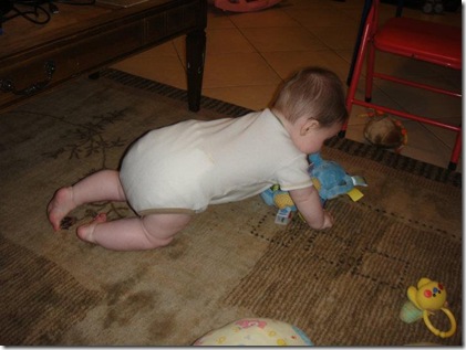 7 months old (1)