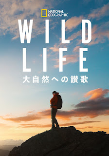 [ドラマ] WILD LIFE 大自然への讃歌 UHD 4K (2023) (WEBRIP)