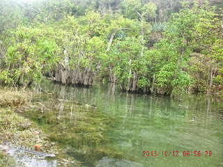 Danau Air Payau Di Pantai Kunir