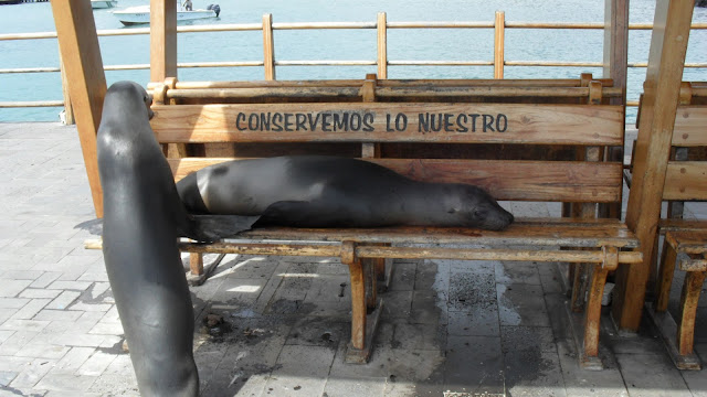 Peurto Baquerizo Moreno,Galapagos