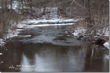 Nasville Blizzard 2-57