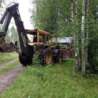 Nu har han kommit fram till min trädgård och viker in mellan björkar, gran och stenar i trädgården.